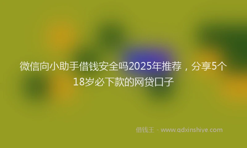 微信向小助手借钱安全吗2025年推荐，分享5个18岁必下款的网贷口子
