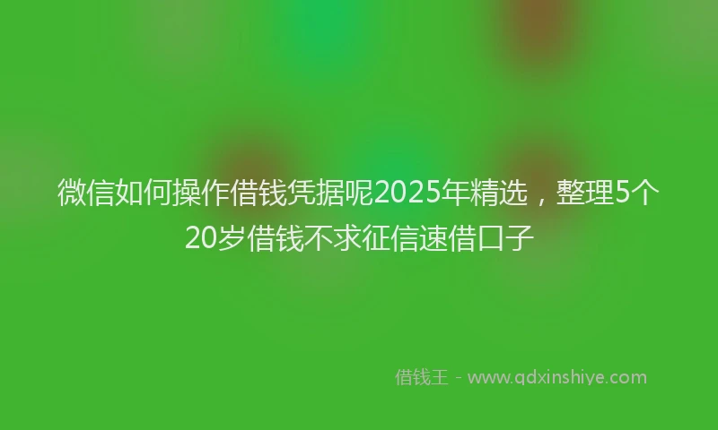 微信如何操作借钱凭据呢2025年精选，整理5个20岁借钱不求征信速借口子