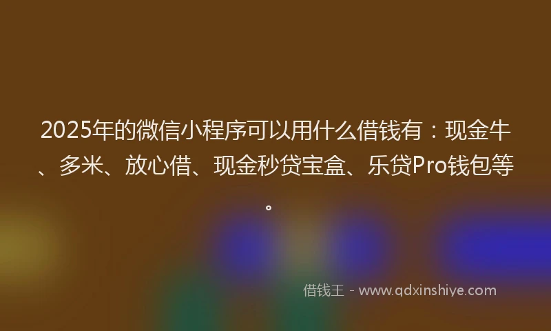 2025年的微信小程序可以用什么借钱有：现金牛、多米、放心借、现金秒贷宝盒、乐贷Pro钱包等。