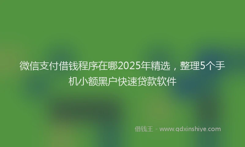 微信支付借钱程序在哪2025年精选，整理5个手机小额黑户快速贷款软件