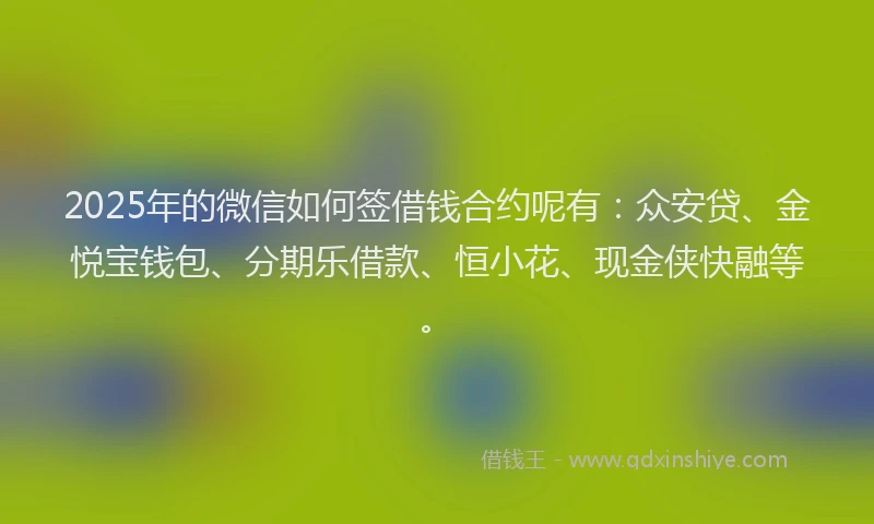 2025年的微信如何签借钱合约呢有：众安贷、金悦宝钱包、分期乐借款、恒小花、现金侠快融等。