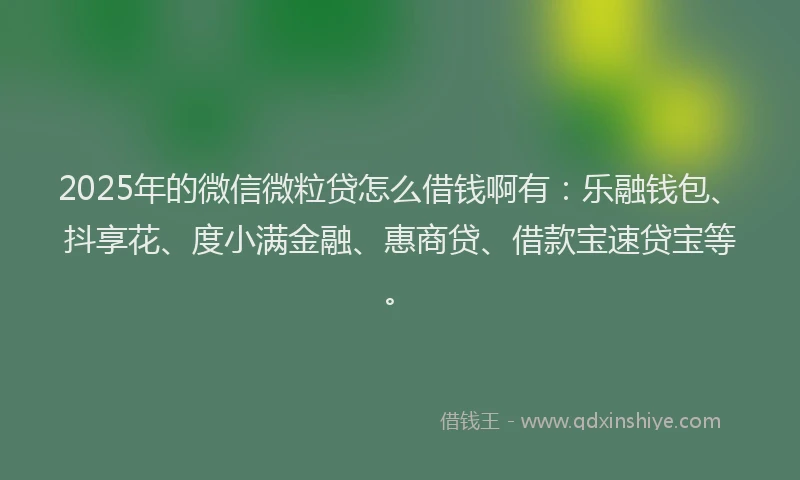 2025年的微信微粒贷怎么借钱啊有：乐融钱包、抖享花、度小满金融、惠商贷、借款宝速贷宝等。
