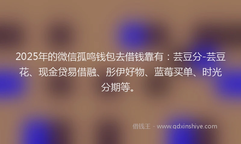 2025年的微信孤鸣钱包去借钱靠有：芸豆分-芸豆花、现金贷易借融、彤伊好物、蓝莓买单、时光分期等。