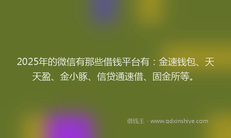 2025年的微信有那些借钱平台有：金速钱包、天天盈、金小豚、信贷通速借、固金所等。