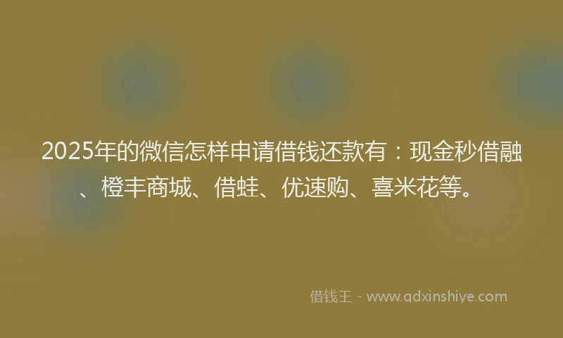 2025年的微信怎样申请借钱还款有：现金秒借融、橙丰商城、借蛙、优速购、喜米花等。
