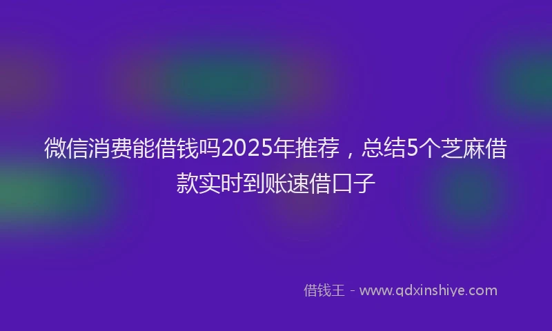 微信消费能借钱吗2025年推荐，总结5个芝麻借款实时到账速借口子