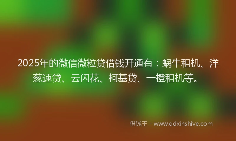 2025年的微信微粒贷借钱开通有：蜗牛租机、洋葱速贷、云闪花、柯基贷、一橙租机等。