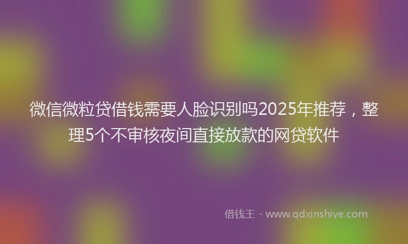 微信微粒贷借钱需要人脸识别吗2025年推荐，整理5个不审核夜间直接放款的网贷软件