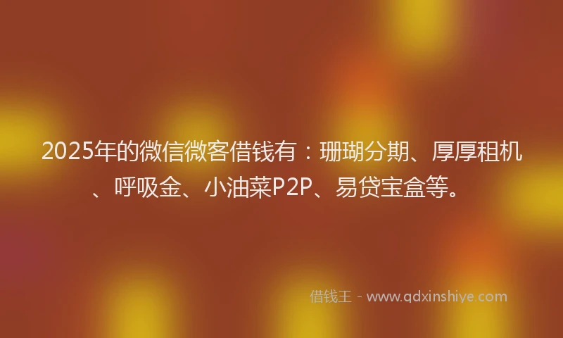 2025年的微信微客借钱有：珊瑚分期、厚厚租机、呼吸金、小油菜P2P、易贷宝盒等。
