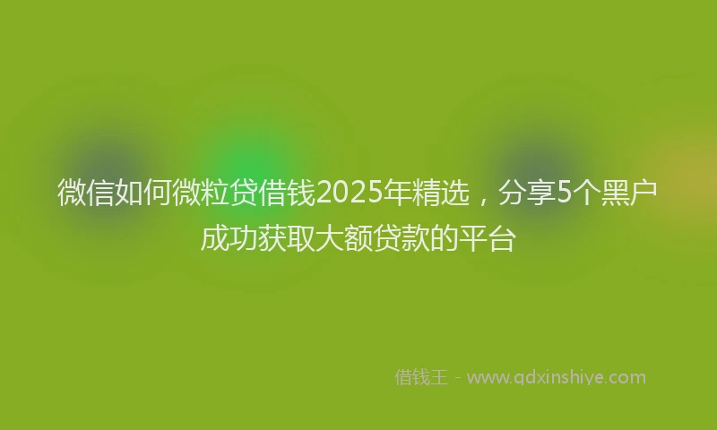 微信如何微粒贷借钱2025年精选，分享5个黑户成功获取大额贷款的平台