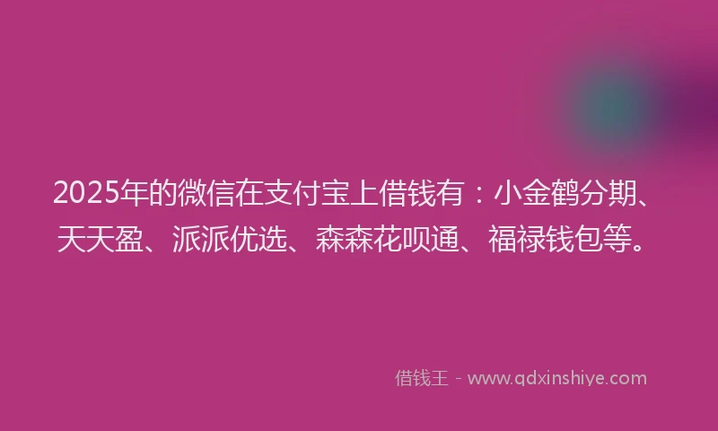 2025年的微信在支付宝上借钱有：小金鹤分期、天天盈、派派优选、森森花呗通、福禄钱包等。