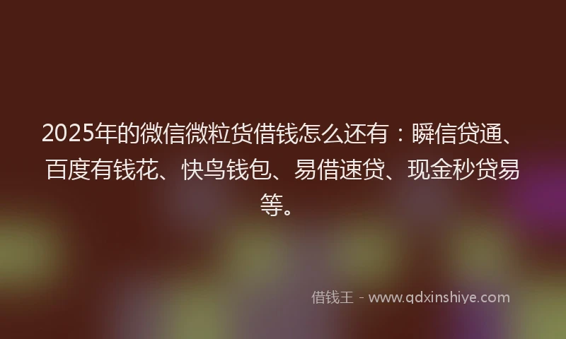 2025年的微信微粒货借钱怎么还有：瞬信贷通、百度有钱花、快鸟钱包、易借速贷、现金秒贷易等。