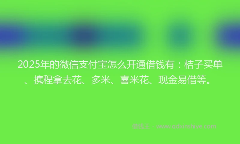 2025年的微信支付宝怎么开通借钱有：桔子买单、携程拿去花、多米、喜米花、现金易借等。
