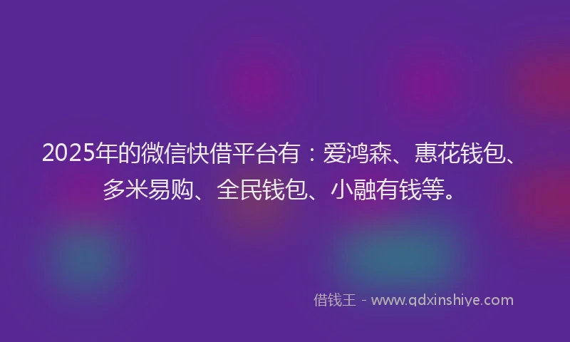 2025年的微信快借平台有：爱鸿森、惠花钱包、多米易购、全民钱包、小融有钱等。