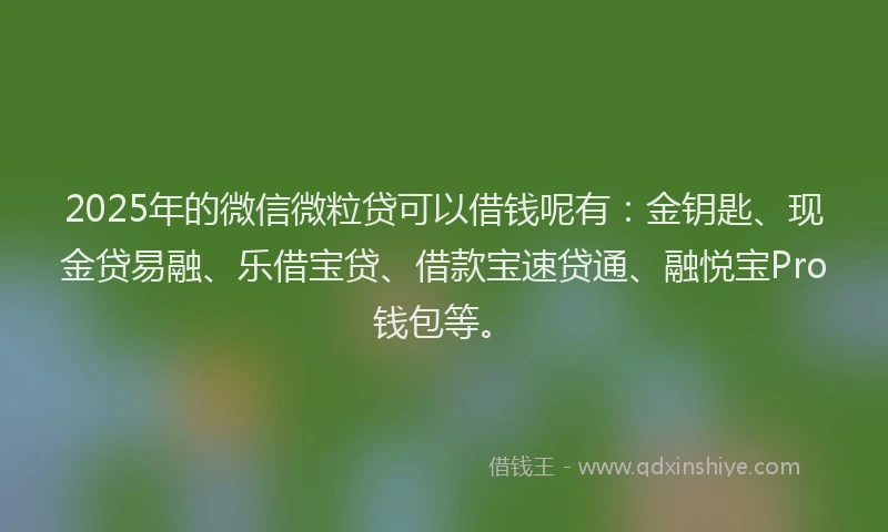 2025年的微信微粒贷可以借钱呢有：金钥匙、现金贷易融、乐借宝贷、借款宝速贷通、融悦宝Pro钱包等。