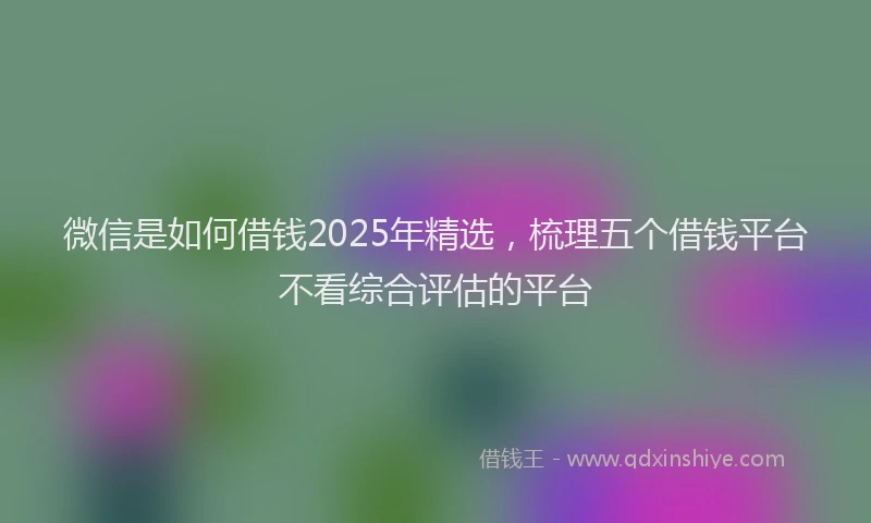微信是如何借钱2025年精选，梳理五个借钱平台不看综合评估的平台