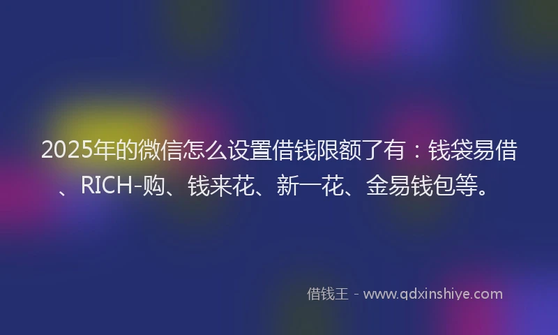 2025年的微信怎么设置借钱限额了有：钱袋易借、RICH-购、钱来花、新一花、金易钱包等。