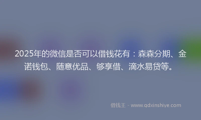2025年的微信是否可以借钱花有：森森分期、金诺钱包、随意优品、够享借、滴水易贷等。