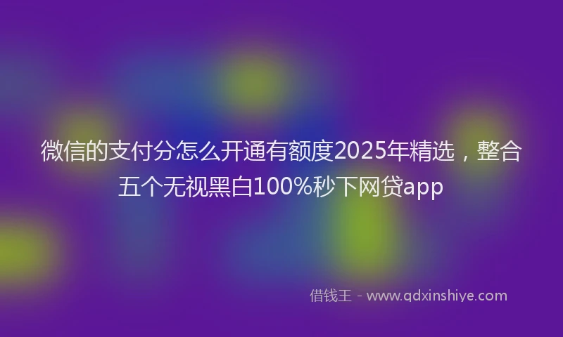 微信的支付分怎么开通有额度2025年精选，整合五个无视黑白100%秒下网贷app