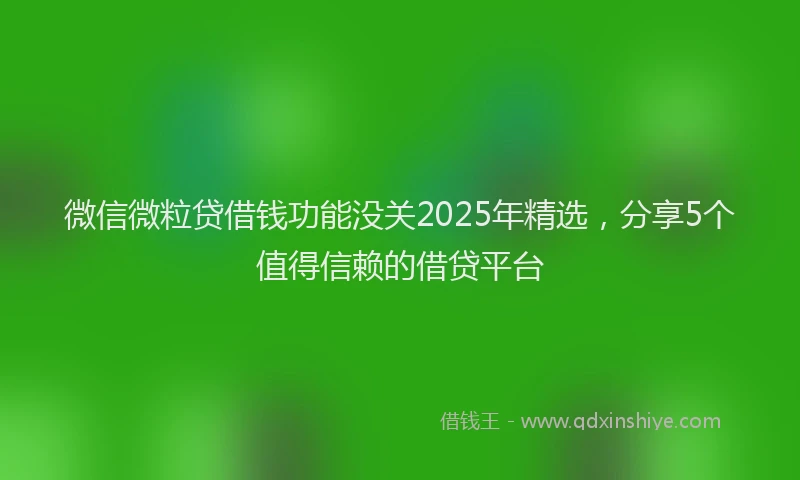 微信微粒贷借钱功能没关2025年精选，分享5个值得信赖的借贷平台