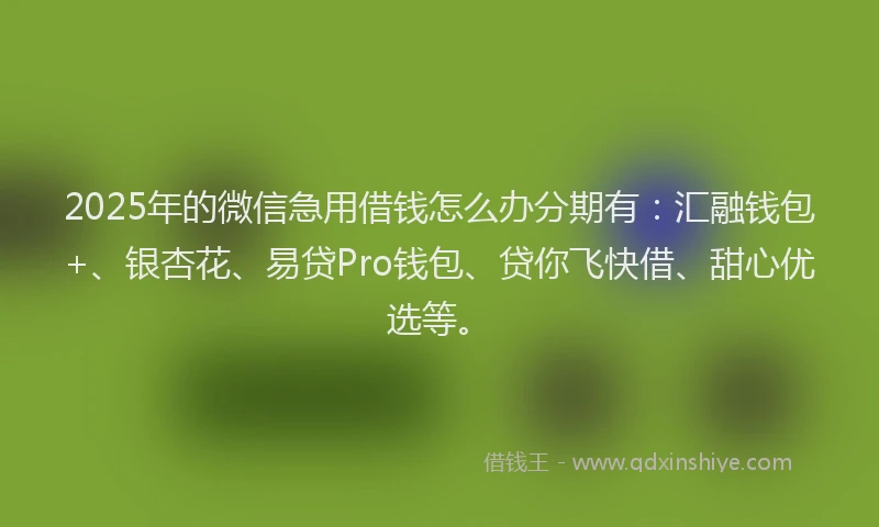 2025年的微信急用借钱怎么办分期有：汇融钱包+、银杏花、易贷Pro钱包、贷你飞快借、甜心优选等。