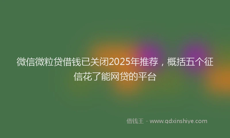 微信微粒贷借钱已关闭2025年推荐，概括五个征信花了能网贷的平台
