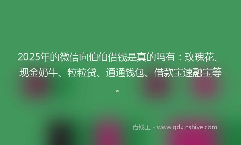 2025年的微信向伯伯借钱是真的吗有：玫瑰花、现金奶牛、粒粒贷、通通钱包、借款宝速融宝等。
