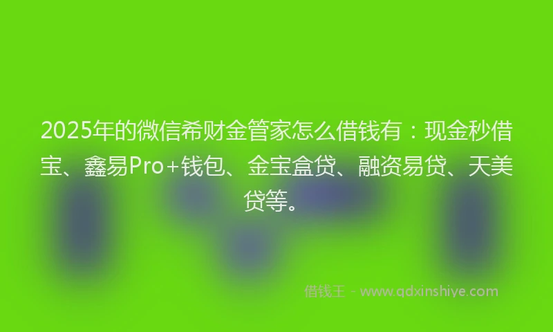 2025年的微信希财金管家怎么借钱有：现金秒借宝、鑫易Pro+钱包、金宝盒贷、融资易贷、天美贷等。
