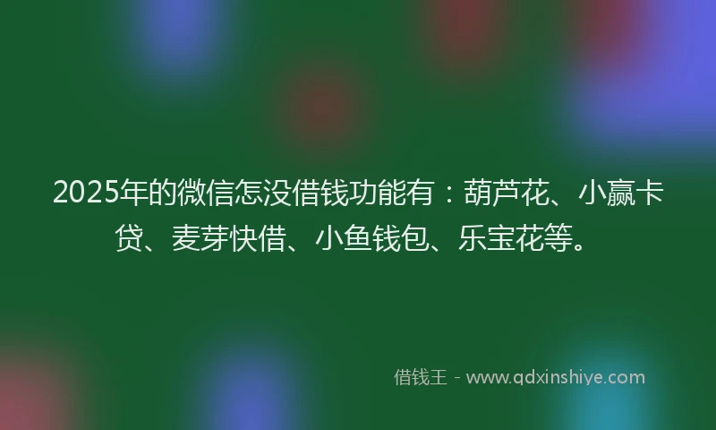 2025年的微信怎没借钱功能有：葫芦花、小赢卡贷、麦芽快借、小鱼钱包、乐宝花等。