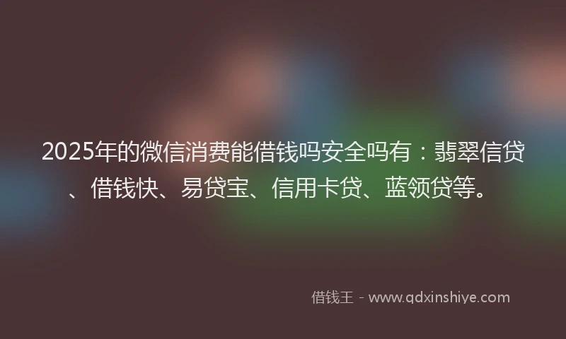 2025年的微信消费能借钱吗安全吗有：翡翠信贷、借钱快、易贷宝、信用卡贷、蓝领贷等。