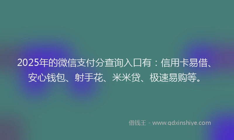 2025年的微信支付分查询入口有：信用卡易借、安心钱包、射手花、米米贷、极速易购等。