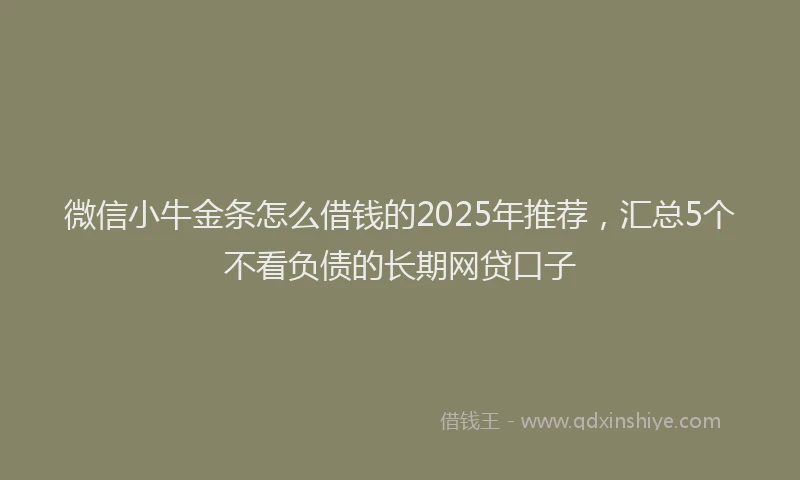 微信小牛金条怎么借钱的2025年推荐，汇总5个不看负债的长期网贷口子