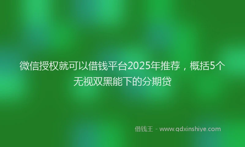 微信授权就可以借钱平台2025年推荐，概括5个无视双黑能下的分期贷
