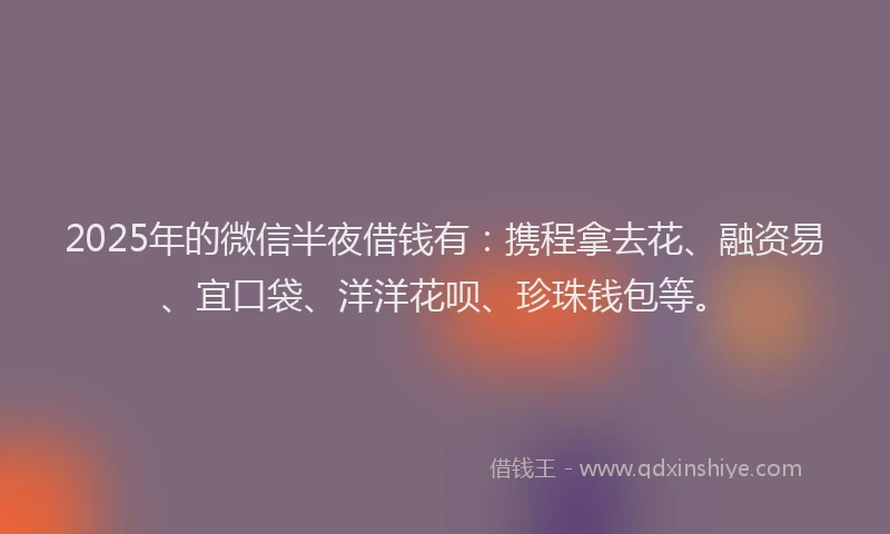 2025年的微信半夜借钱有：携程拿去花、融资易、宜口袋、洋洋花呗、珍珠钱包等。