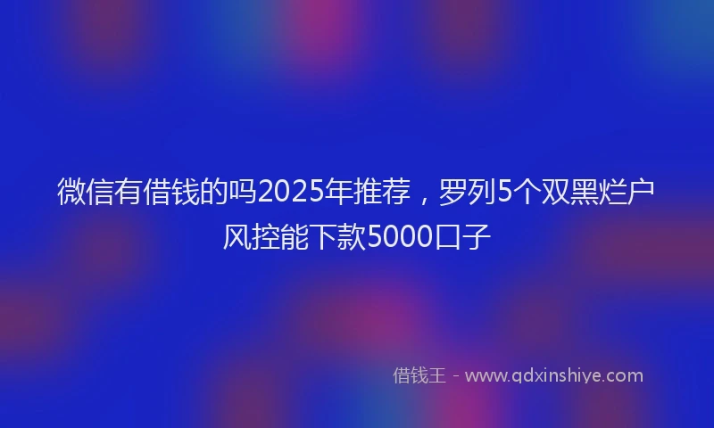 微信有借钱的吗2025年推荐，罗列5个双黑烂户风控能下款5000口子