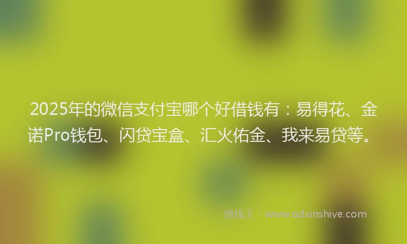 2025年的微信支付宝哪个好借钱有：易得花、金诺Pro钱包、闪贷宝盒、汇火佑金、我来易贷等。