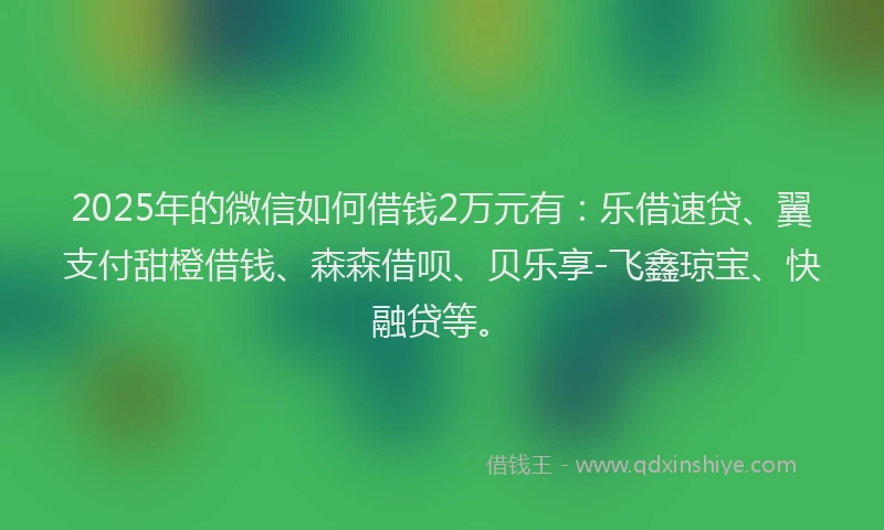 2025年的微信如何借钱2万元有：乐借速贷、翼支付甜橙借钱、森森借呗、贝乐享-飞鑫琼宝、快融贷等。