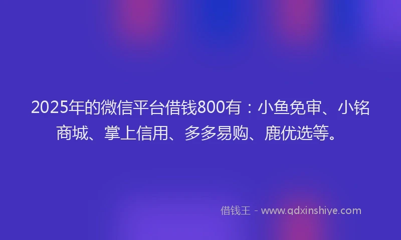 2025年的微信平台借钱800有：小鱼免审、小铭商城、掌上信用、多多易购、鹿优选等。