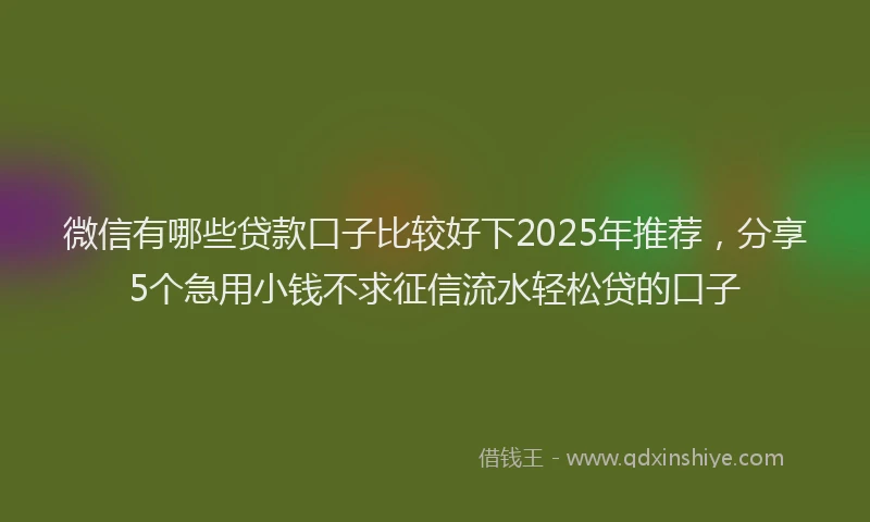 微信有哪些贷款口子比较好下2025年推荐，分享5个急用小钱不求征信流水轻松贷的口子