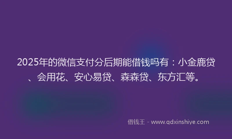 2025年的微信支付分后期能借钱吗有：小金鹿贷、会用花、安心易贷、森森贷、东方汇等。