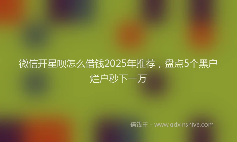 微信开星呗怎么借钱2025年推荐，盘点5个黑户烂户秒下一万