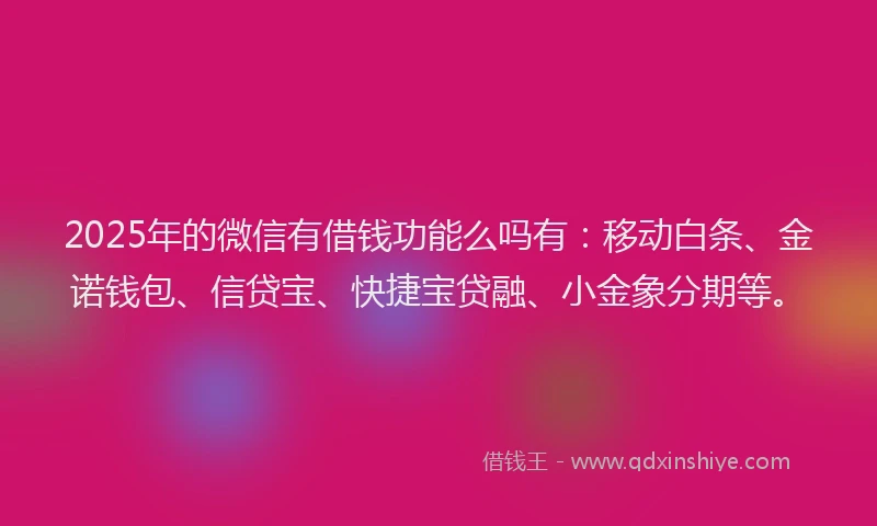 2025年的微信有借钱功能么吗有：移动白条、金诺钱包、信贷宝、快捷宝贷融、小金象分期等。