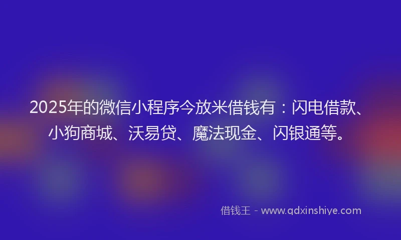 2025年的微信小程序今放米借钱有：闪电借款、小狗商城、沃易贷、魔法现金、闪银通等。