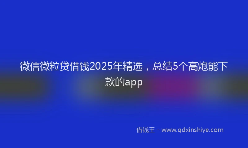 微信微粒贷借钱2025年精选，总结5个高炮能下款的app
