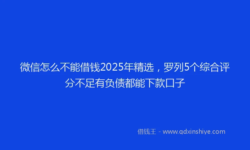 微信怎么不能借钱2025年精选，罗列5个综合评分不足有负债都能下款口子
