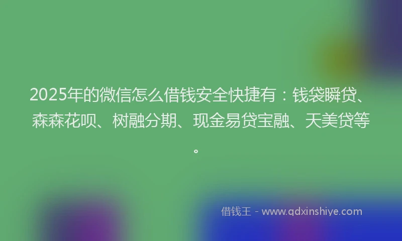 2025年的微信怎么借钱安全快捷有：钱袋瞬贷、森森花呗、树融分期、现金易贷宝融、天美贷等。
