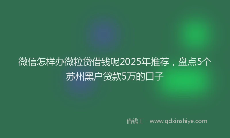 微信怎样办微粒贷借钱呢2025年推荐，盘点5个苏州黑户贷款5万的口子