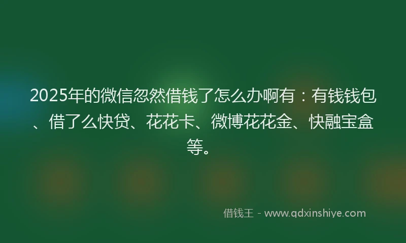 2025年的微信忽然借钱了怎么办啊有：有钱钱包、借了么快贷、花花卡、微博花花金、快融宝盒等。