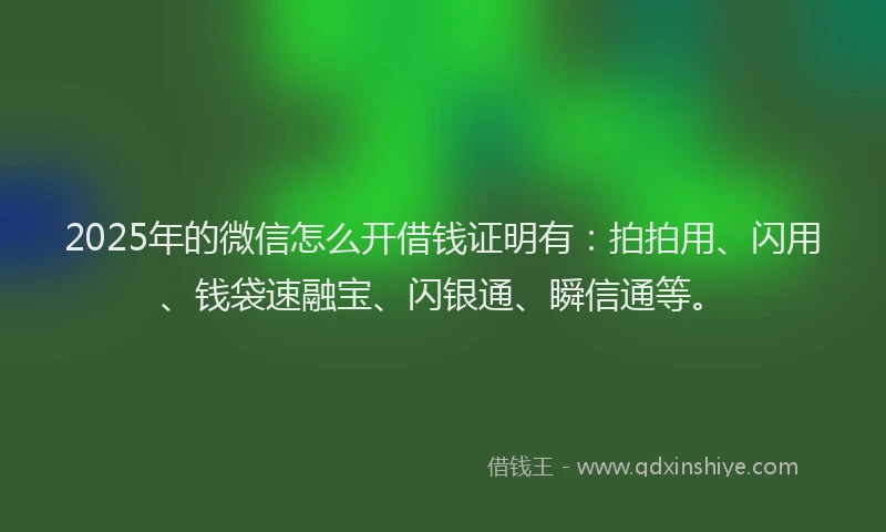 2025年的微信怎么开借钱证明有：拍拍用、闪用、钱袋速融宝、闪银通、瞬信通等。