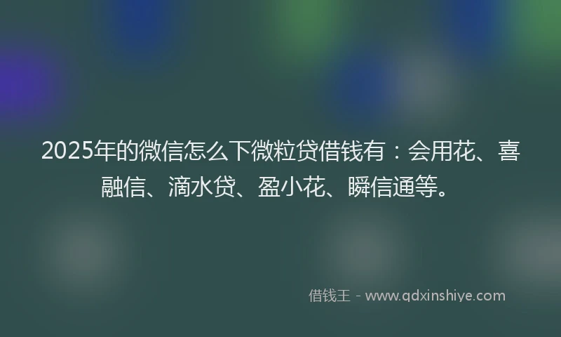 2025年的微信怎么下微粒贷借钱有：会用花、喜融信、滴水贷、盈小花、瞬信通等。
